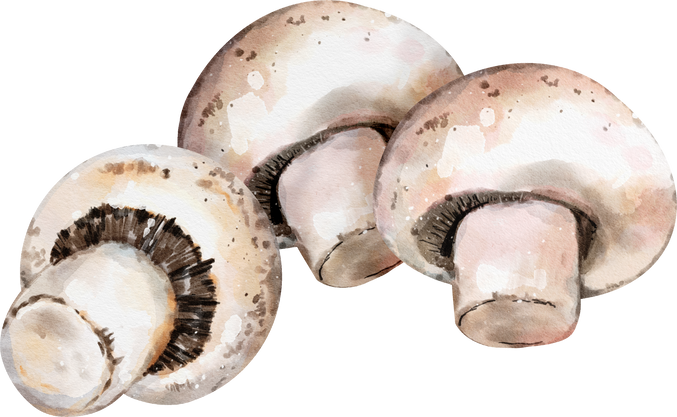 Mushroom watercolor